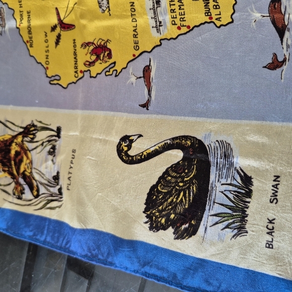 Explore Australia Map Acetate Scarf Hand rolled - Picture 8 of 8